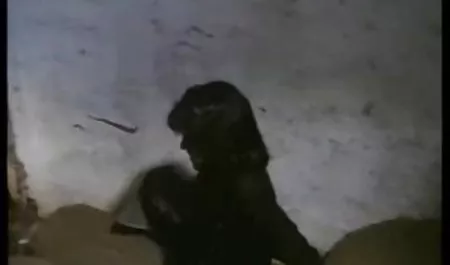 (Şeker sarışın bunny hd sex izle konulu sigara