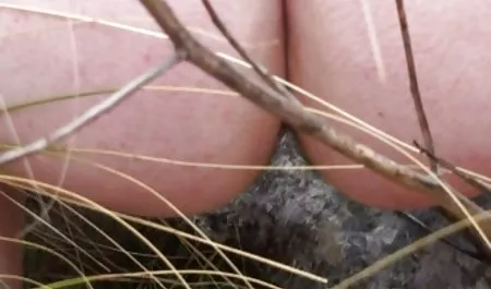 Siyah bi-bi siktir oturum kayıtları-si olgun sex konulu