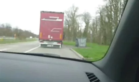 Latin krem sikişme konulu kedi