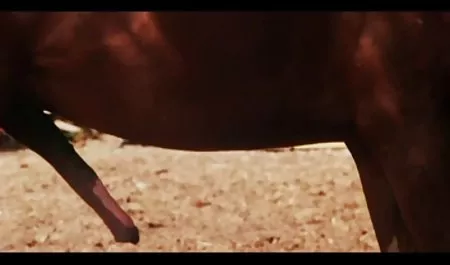 Sürpriz konulu seks filimleri üçlü seks kahrolası açık